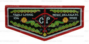 Patch Scan of TSALI LODGE NOAC Delegate (red border)