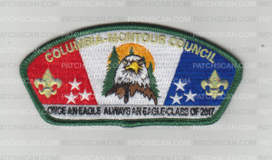 Patch Scan of Eagle Class 2017