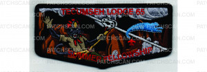 Patch Scan of Summer Fellowship Flap (PO 102924)