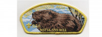 Wood Badge CSP Beaver (PO 100214) West Tennessee Area Council #559