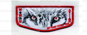 Patch Scan of Yearly Pass Flap 2025 (PO 102587)