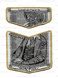Patch Scan of 194164 gold pocket piece