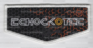 Patch Scan of Echockotee Disc Battle - Yellow Flap