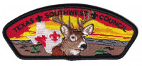 Texas Southwest Council CSP Texas Southwest Council
