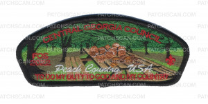 Patch Scan of Central Georgia Council- FOS 2022 