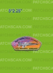 Patch Scan of NW Texas 2023 NSJ JSP gray bdr 456278