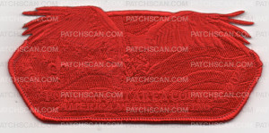 Patch Scan of FRIENDS OF SCOUTING-GHOSTED RED