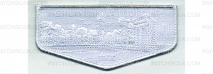 Patch Scan of Summer Fellowship Flap 2025 (PO 102768)