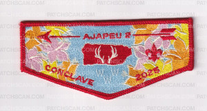 Patch Scan of Washington Crossing Conclave Flap