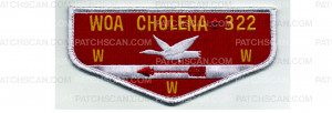 Patch Scan of OBV Flap (PO 103023)
