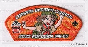 Patch Scan of 186744 - Silver 