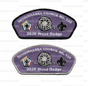 Patch Scan of 195434-silver