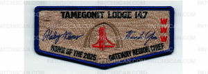 Patch Scan of Gateway Region Chief Flap #2 (PO 102742)