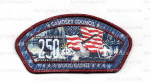Patch Scan of 193386
