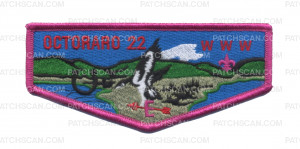 Patch Scan of Octoraro 22 Flap E (Magenta)