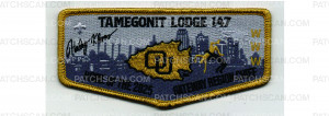 Patch Scan of Gateway Region Chief Flap #3 (PO 102743)