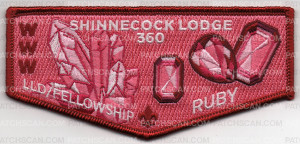 Patch Scan of SHINNECOCK LLD FELLOWSHIP FLAP