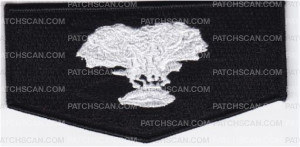Patch Scan of Caddo Lodge 149 OA Flap Night Version 