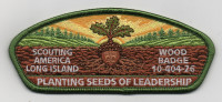 WOOD BADGE CSP LONG ISLAND GREEN BORDER Theodore Roosevelt Council #386
