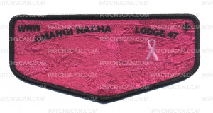 Patch Scan of Amangi Nacha Lodge 47 Flap (Pink Ghosted)