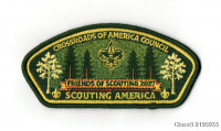195933 Crossroads of America Council #160
