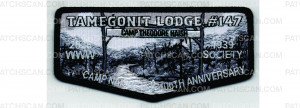 Patch Scan of 1939 Society Flap South Camp (PO 103712)