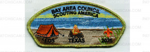Patch Scan of 2025 Friends of Scouting CSP (PO 102745)