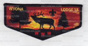 Patch Scan of Wyona Participation Flaps