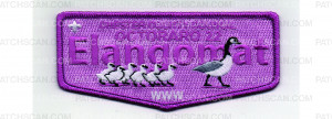 Patch Scan of Elangomat Flap (PO 102947)