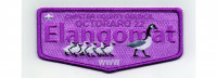 Elangomat Flap (PO 102947) Chester County Council #539