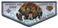 Apoxky Aio 300 2022 NOAC Winter flap Montana Council #315