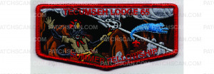 Patch Scan of Summer Fellowship Flap (PO 102924)