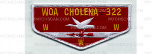 Patch Scan of OBV Flaps (PO 103593)