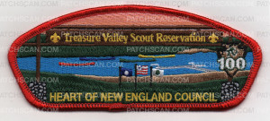 Patch Scan of TVSR 100TH CSP