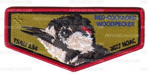 Patch Scan of TSALI 2027 NOAC Flap (Woodpecker)