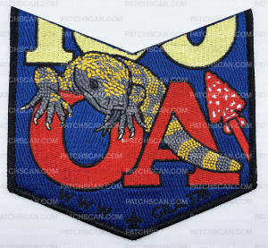 Patch Scan of Yucca Council 100 Years Pocket Set