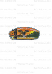 Patch Scan of Chippewa Valley Council NYLT Tall Pines Silver