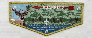 Patch Scan of Ajapeu 2 Flap