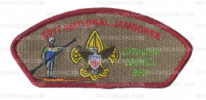 Patch Scan of Catali