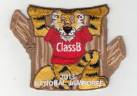 X166647A ClassB 2013 JAMBOREE (tiger)  ClassB	