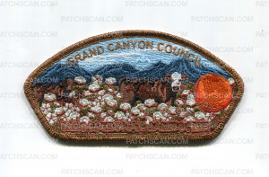 Patch Scan of Grand Canyon Council 2026 NJ 5 C's JSP copper met bdr