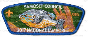 Patch Scan of P24115 2017 Jamboree Patches