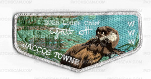 Patch Scan of 181737