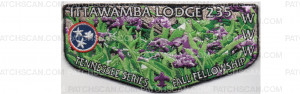Patch Scan of Fall Fellowship Flap (PO 88428) 