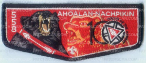Patch Scan of NOAC FUNDRAISER 100 FLAP