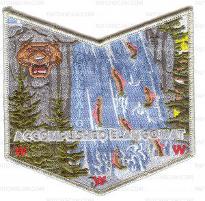 Patch Scan of Apoxky Aio 300 Honor Elangomat Pocket Patch