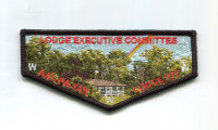 Aal-Pa-Tah Lodge Lodge Executive Committee Gulf Stream Council #85