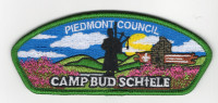 Piedmont Council CBS 2025 CSP STAFF Piedmont Area Council #420