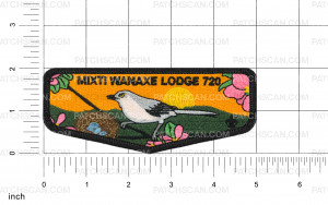 Patch Scan of NSC Mixti Flap