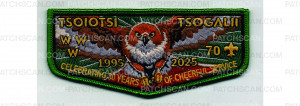 Patch Scan of 30 Years of Cheerful Service Flap (PO 102954)